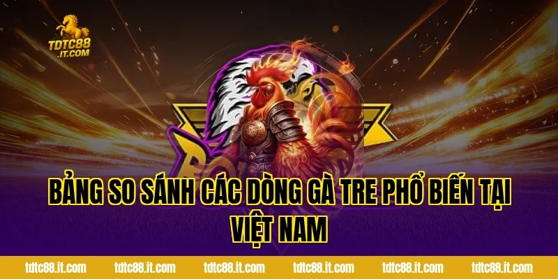 Đá Gà Tre TDTC – Đặc Điểm Và Kinh Nghiệm Chọn Gà Hiệu Quả 3 Bảng So Sánh Các Dòng Gà Tre Phổ Biến Tại Việt Nam