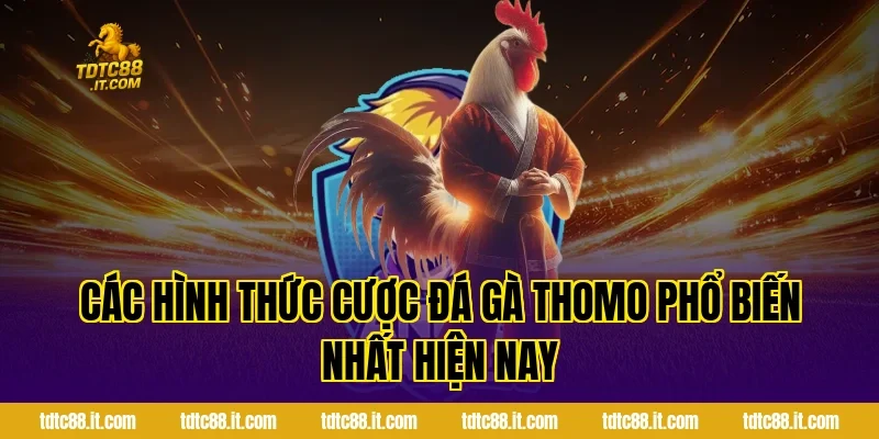 Đá Gà Thomo TDTC – Trường Gà Nổi Tiếng Campuchia Cho Tân Thủ 2 Các hình thức cược đá gà Thomo phổ biến nhất hiện nay