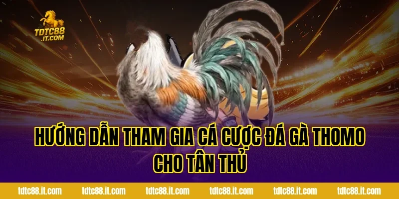 Đá Gà Thomo TDTC – Trường Gà Nổi Tiếng Campuchia Cho Tân Thủ 4 Hướng dẫn tham gia cá cược đá gà Thomo cho tân thủ