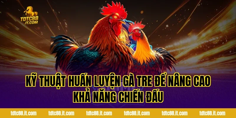 Đá Gà Tre TDTC – Đặc Điểm Và Kinh Nghiệm Chọn Gà Hiệu Quả 4 Kỹ Thuật Huấn Luyện Gà Tre Để Nâng Cao Khả Năng Chiến Đấu