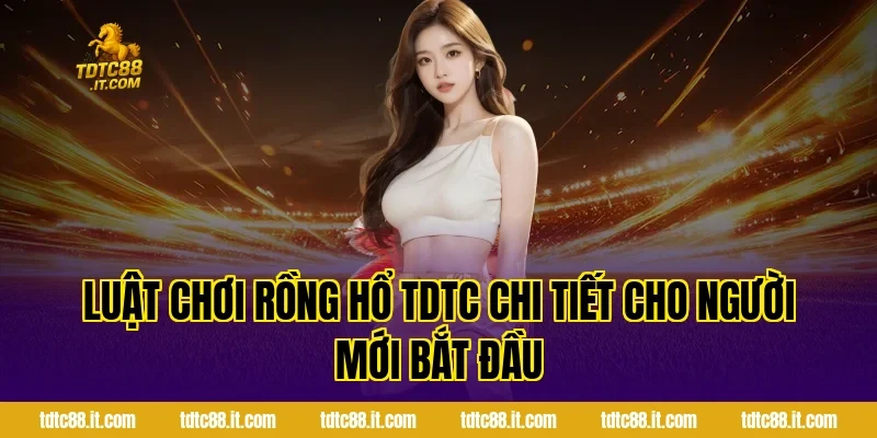 Rồng Hổ TDTC – Luật Chơi Và Kinh Nghiệm Đặt Cược Hot 2 Luật chơi Rồng Hổ TDTC chi tiết cho người mới bắt đầu
