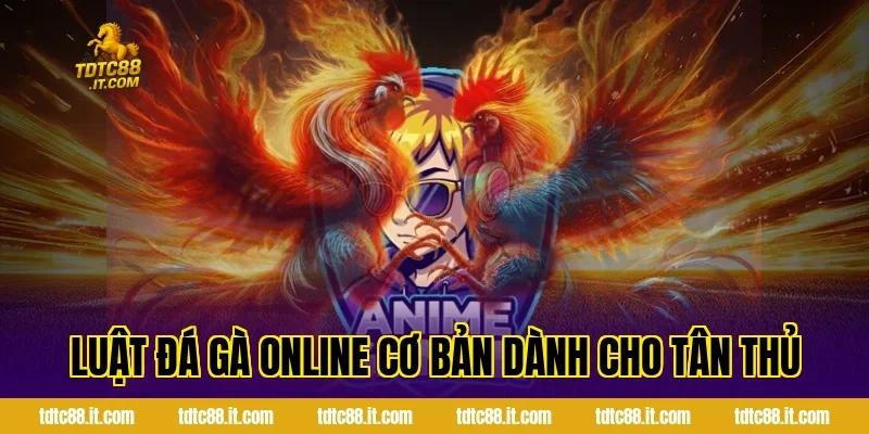 Luật Đá Gà Online Chuẩn Nhất Cho Người Mới Tại Nhà Cái TDTC 1 Luật đá gà online cơ bản dành cho tân thủ
