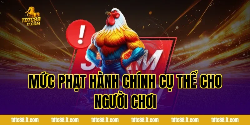 Luật Đá Gà Online Chuẩn Nhất Cho Người Mới Tại Nhà Cái TDTC 3 Mức phạt hành chính cụ thể cho người chơi