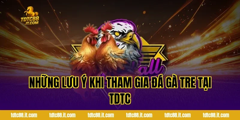 Đá Gà Tre TDTC – Đặc Điểm Và Kinh Nghiệm Chọn Gà Hiệu Quả 5 Những Lưu Ý Khi Tham Gia Đá Gà Tre Tại TDTC
