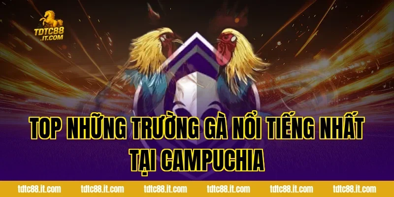 Đá Gà Campuchia TDTC – Trường Gà Nổi Tiếng Và Luật Chơi 2 Top Những Trường Gà Nổi Tiếng Nhất Tại Campuchia