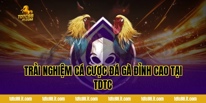 Đá Gà Campuchia TDTC – Trường Gà Nổi Tiếng Và Luật Chơi 4 Trải Nghiệm Cá Cược Đá Gà Đỉnh Cao Tại TDTC